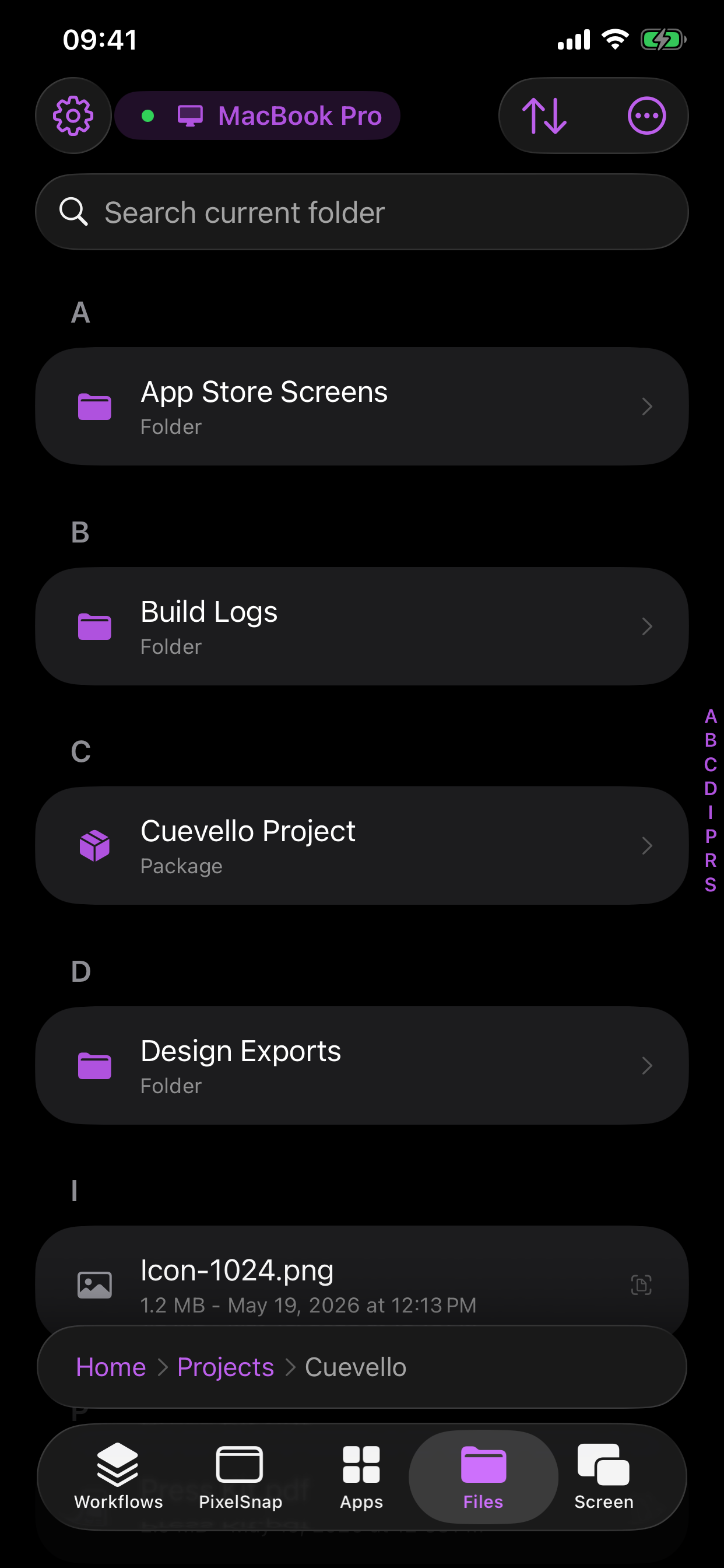 Cuevello files screen on iPhone